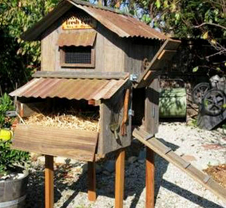 poulailler fixe sur pilotis
