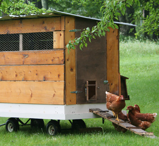 poulailler mobile