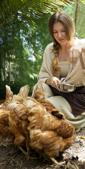 aliment preferé des poules
